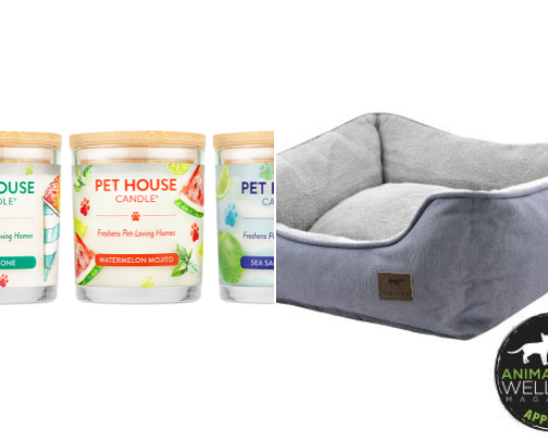 Pet loving accessories! cover photo collage