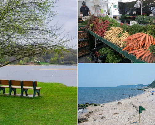 Favorite Long Island Activities cover photo collage