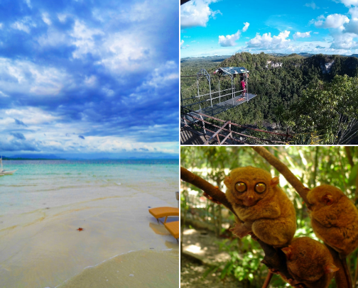 Bohol (Philippines) Summer Vacation cover photo collage