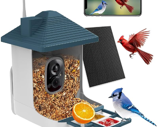 Bird luxury cover photo collage