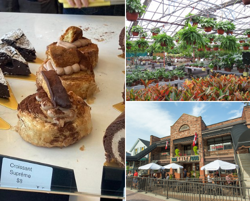 Windsor-Essex Must Visit Places from a Lifetime Local! cover photo collage