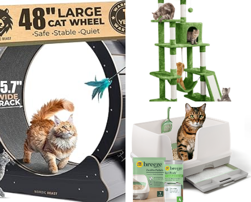 Feline Finds; Cat Parent Finds! cover photo collage
