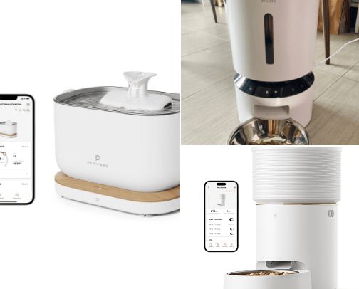 Don't forget your furry friend cover photo collage