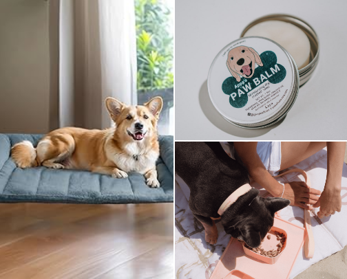 Products Every New Dog Owner Needs (But Forgets to Buy) ❄️Now with Winter Must-Haves❄️ cover photo collage