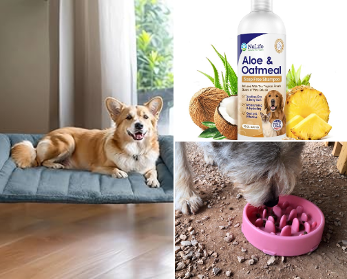 Products Every New Dog Owner Needs (But Forgets to Buy) cover photo collage