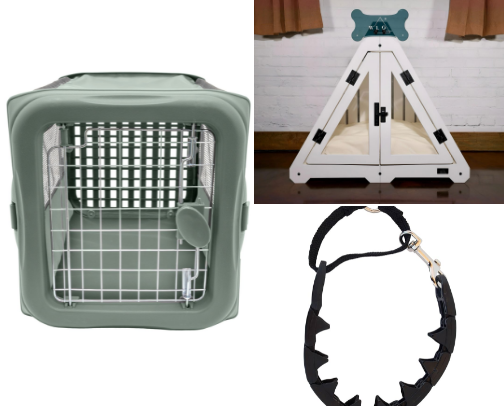 Puppy Must Haves, a path to avoid the puppy blues 🐶🐾 cover photo collage