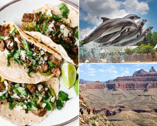 Tourism Smore-ism🥢🛩 cover photo collage