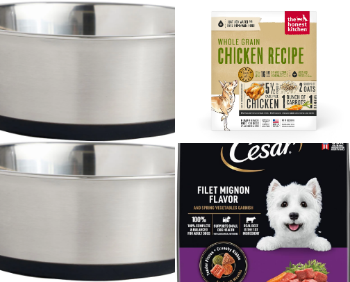 Dog supplies cover photo collage