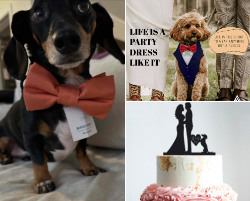How I Included My Dachshund in My Wedding cover photo collage