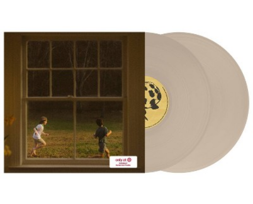 Niche vinyls cover photo collage