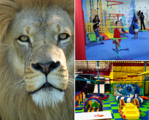 Great family adventure ideas cover photo collage