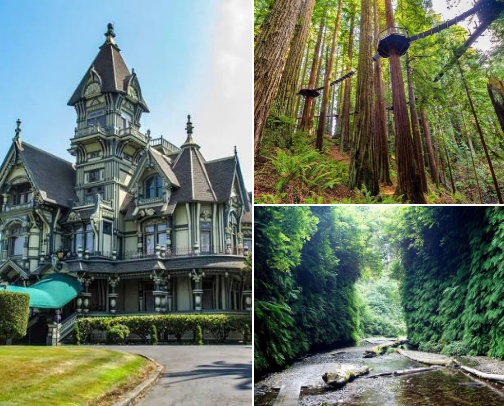 Eureka, Ca. Things to do, see, and eat cover photo collage