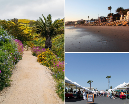 Local to do's - Ventura cover photo collage