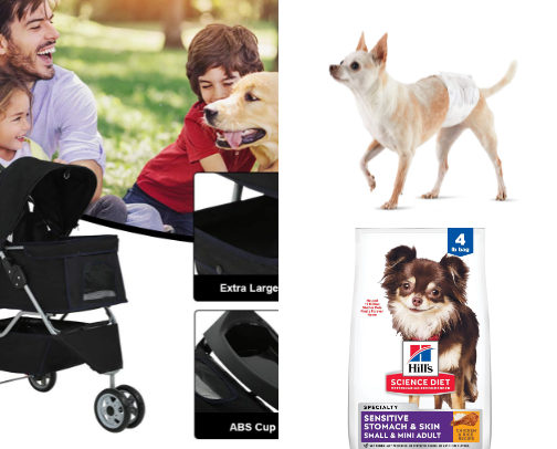 Being a chihuahua mom cover photo collage
