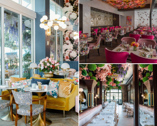 Adorable Brunch Spots in Houston cover photo collage