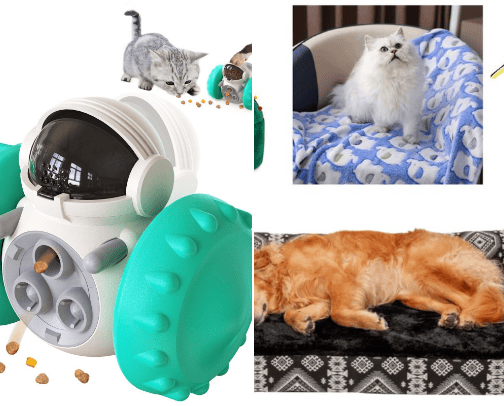 Cat & Dog Accessories and Toys cover photo collage