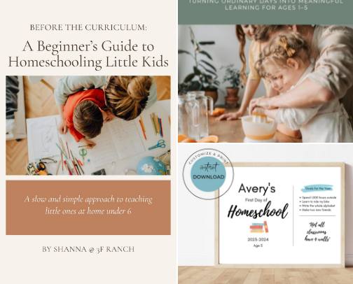 Homeschool Resources for Beginners (preK & K) cover photo collage