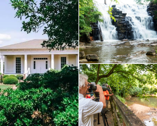 Auburn Opelika Local Things to Do cover photo collage