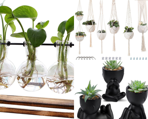 Plants and things they need cover photo collage