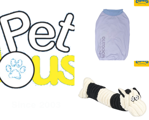 Pets Accessories cover photo collage