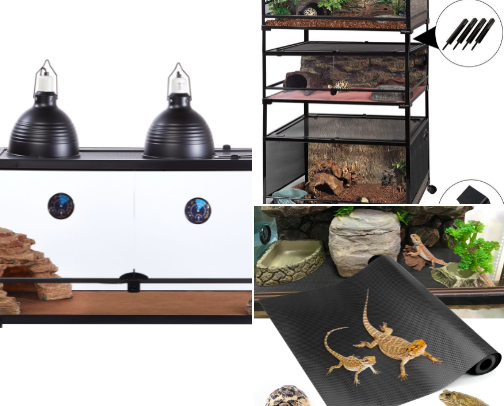 Reptiles cover photo collage