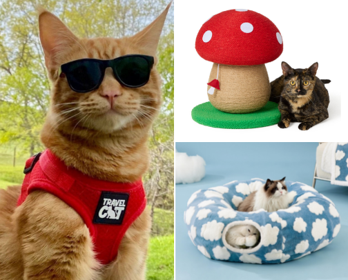My kitty must haves! cover photo collage