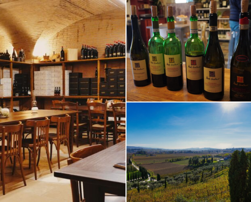 Wineries to visit in Veneto cover photo collage
