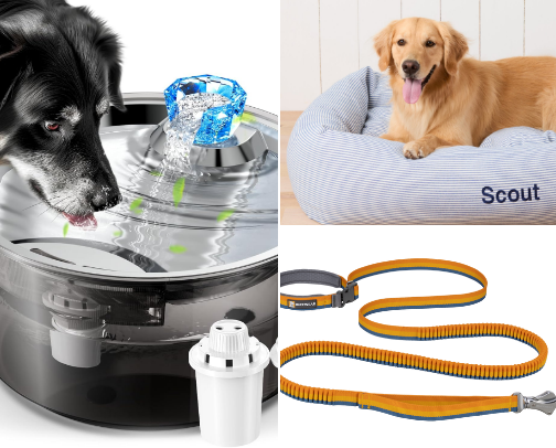 Dog Essentials Every New Dog Owner Needs cover photo collage