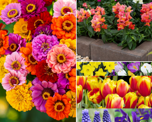 My garden  ,My Happy Place....... cover photo collage