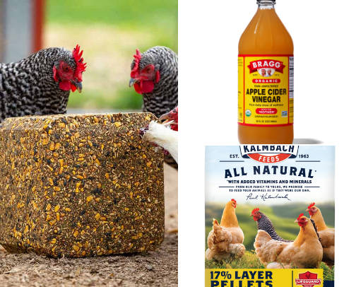 Chicken Must-Haves! cover photo collage