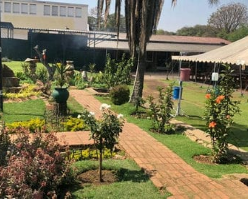 My top Harare recs cover photo collage