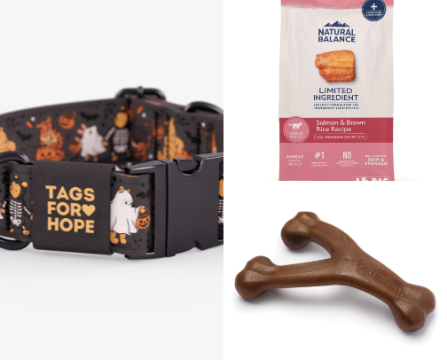 Dog must haves🐾 cover photo collage