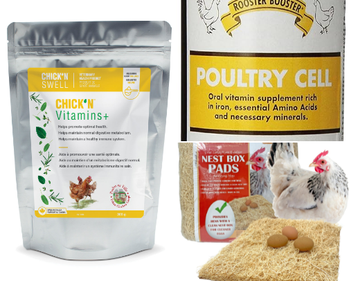 Chicken Essentials 🐓 cover photo collage