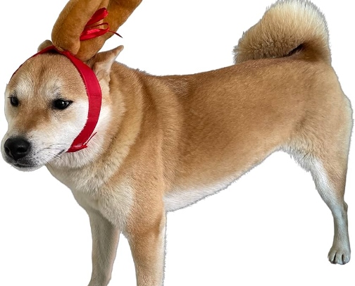 Random finds cover photo collage