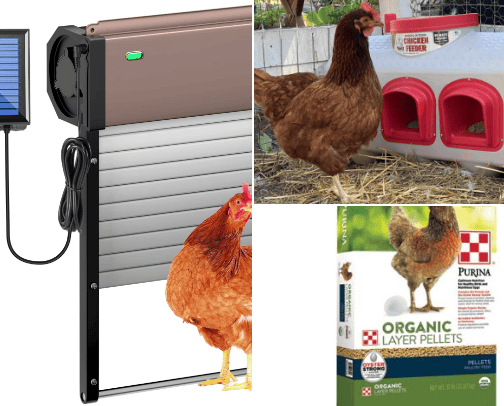 Chicken Essentials For A Happy Flock cover photo collage