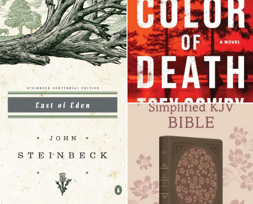 My favorite book recs cover photo collage