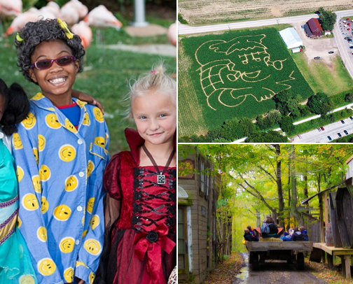 Cleveland Fall & Halloween Guide 2025: Best Family-Friendly Seasonal Things to Do on the West Side, East Side, South Side & Downtown cover photo collage