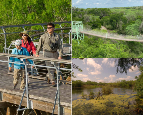 My RGV Happy Places: Birds, Coffee & Day Trips cover photo collage