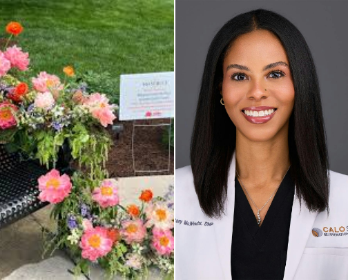 Creativity pros & recs! cover photo collage