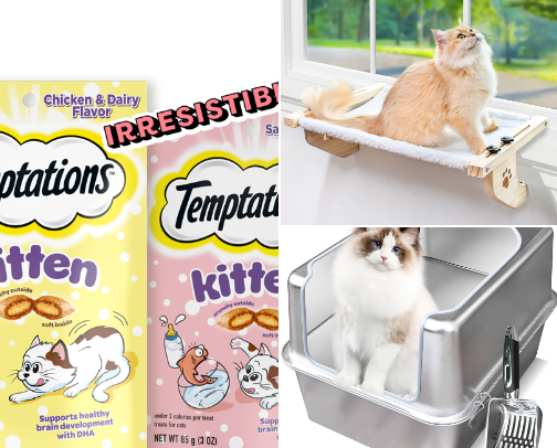 Cat Owner Essentials cover photo collage