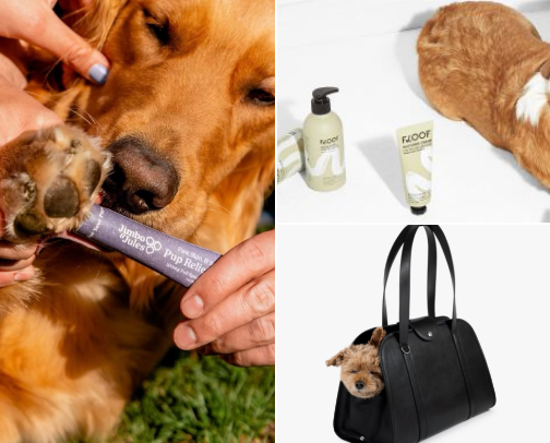 Sustainable pet products cover photo collage