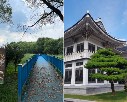 Things to do in Gwanju, South Korea cover photo collage