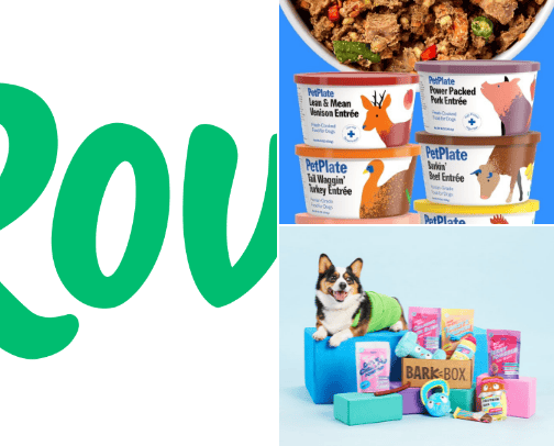 Pet essentials/necessities cover photo collage