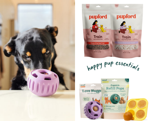 Treats, Chews, & Toys cover photo collage