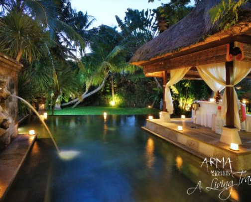 Bali Experience You Can't Miss cover photo collage