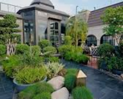 My top Ludhiana recs cover photo collage