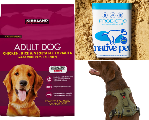 Our Pet Favorites🐾 cover photo collage