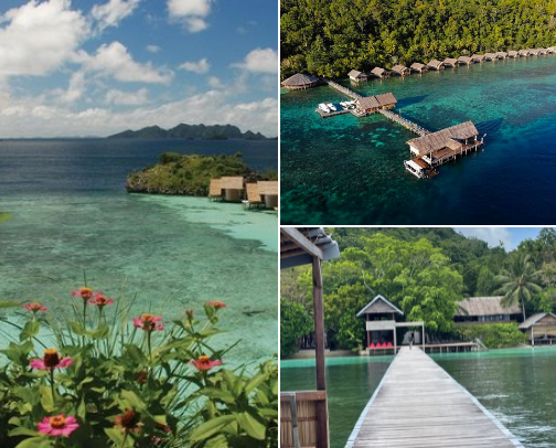 Raja Ampat: Journey to the Last Paradise on Earth cover photo collage