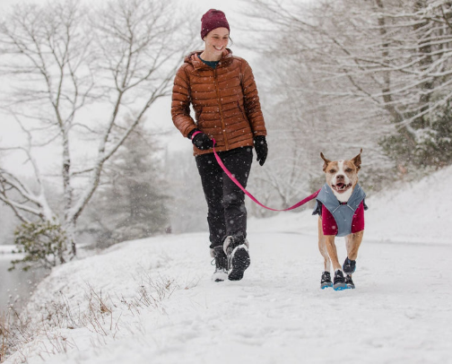 Masterlist for dog supplies: including puppy and senior life stages cover photo collage