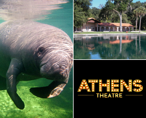 DeLand Day Trip Guide: Springs, Murals & Historic Downtown Near Orlando cover photo collage